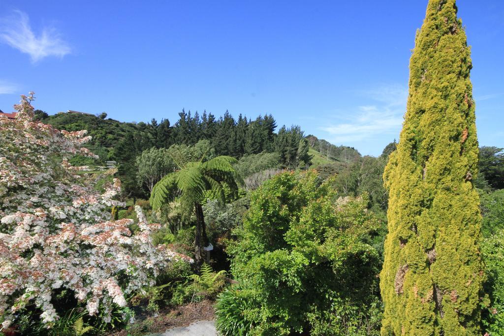 Durie Vale Retreat Villa Whanganui Dış mekan fotoğraf